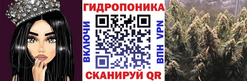 Купить закладку Поронайск A PVP ГАШИШ Каннабис