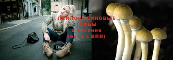 ГАЛЛЮЦИНОГЕННЫЕ ГРИБЫ Алексин