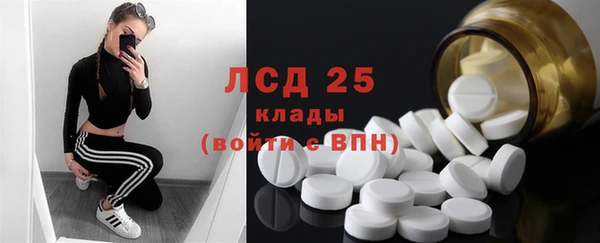 ГАЛЛЮЦИНОГЕННЫЕ ГРИБЫ Алексин