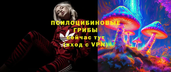 СК Алексеевка