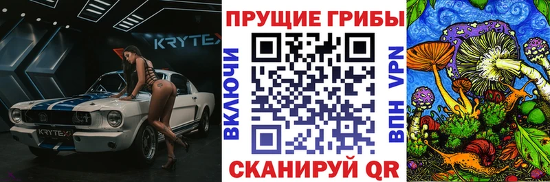 хочу наркоту  Поронайск  Галлюциногенные грибы Cubensis 